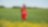 An employee stands in a field near a Quest C02 injection well northeast of Edmonton, Alberta in Canada
