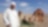 Elderly Omani man with camels